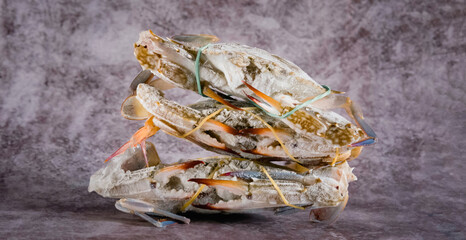 Close-up shot of fresh blue crab isolated on background, sea crab. Seafood. Seafood concept.