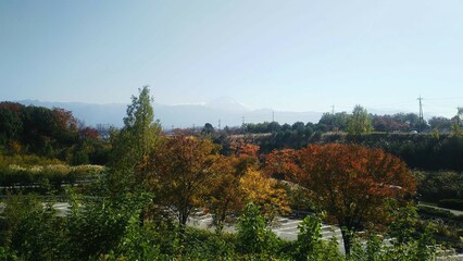 Fototapeta premium autumn in the mountains