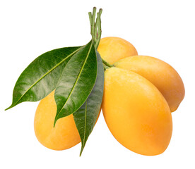Sweet Yellow Marian Plum isolated on white background, Tropical fruit Marian Plum, Mayongchid,...