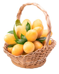 Sweet Yellow Marian Plum in Bamboo basket on white background, Tropical fruit Mayongchid, Maprang, on white background PNG file.