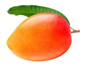 Red Mango fruit with leaf isolated on white background, Fresh Mango fruit on White Background PNG...