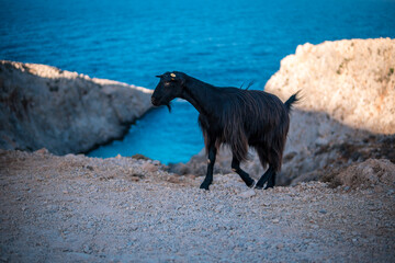 Kreta