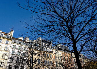 Immeubles parisiens en hiver. Arbres ayant perdu leurs feuilles.