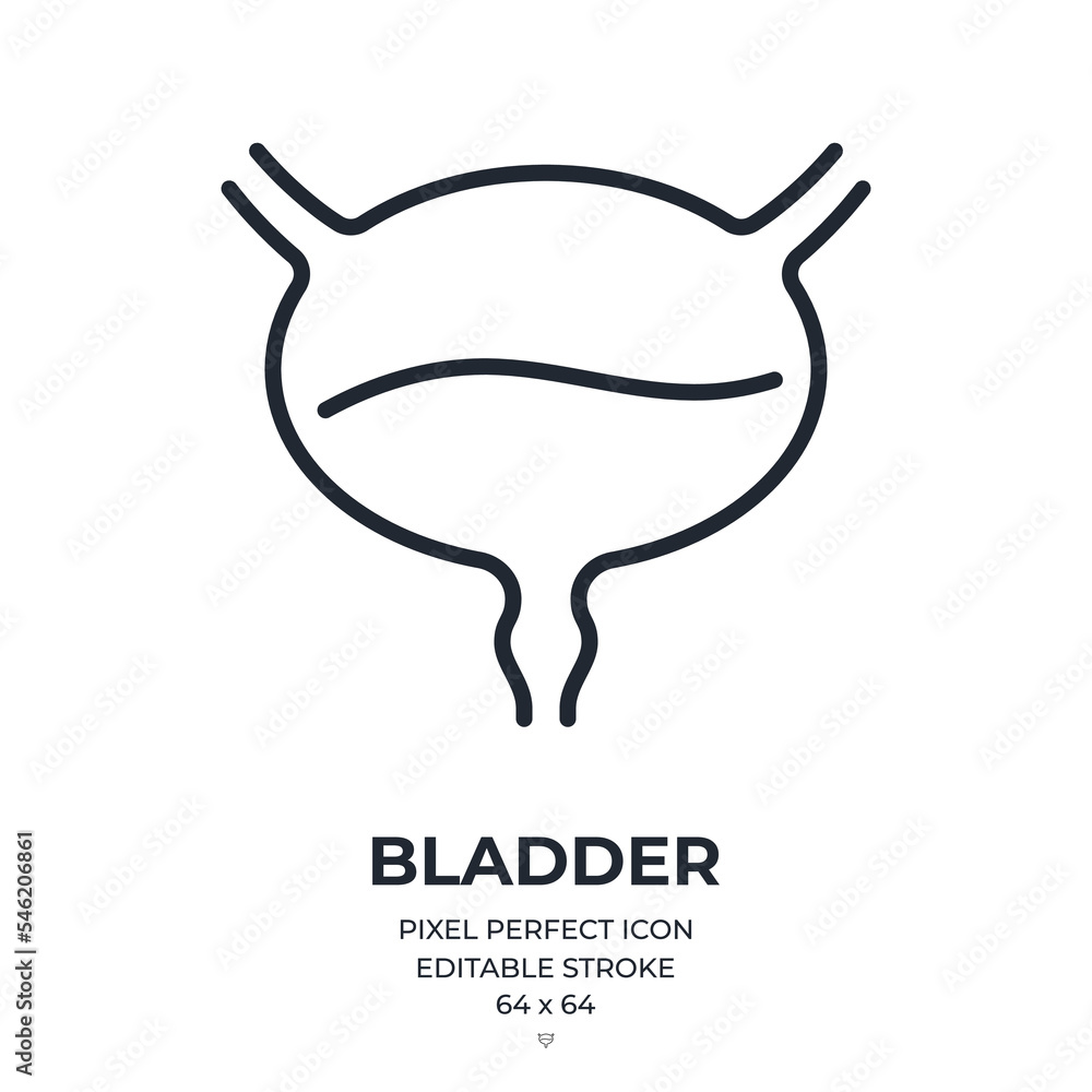 Canvas Prints bladder organ editable stroke outline icon isolated on white background flat vector illustration. pi