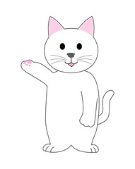 A white cat  presenting with a finger: white background