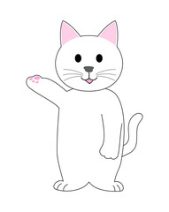 A white cat  presenting with a finger: white background