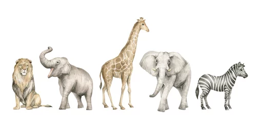 Aquarellset mit wilden Savannentieren. Giraffen, Elefanten, Löwen, Zebras. Nettes Safariwildtier © Kate K.