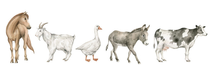 Watercolor set with domestic animals. Horse, goat, goose, donkey, cow. Cute hand-painted farm animals - 546207478