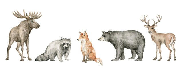 Watercolor set with wild forest animals. Deer, moose, fox, bear, raccoon. Cute hand-painted woodland wildlife - 546207479