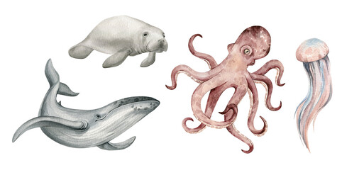 Watercolor set with underwater animals. Octopus, jellyfish, manatee, humpback whale. Cute hand-painted marine animals