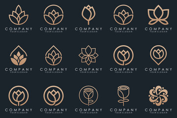 Abstract elegant flower rose logo icon set.