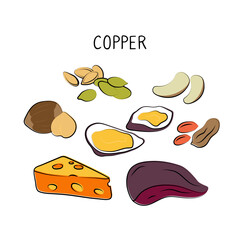 Copper-containing food. Groups of healthy products containing vitamins and minerals. Set of fruits, vegetables, meats, fish and dairy