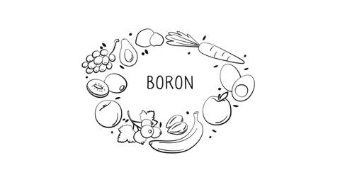 Boron-containing food. Groups of healthy products containing vitamins and minerals. Set of fruits, vegetables, meats, fish and dairy.