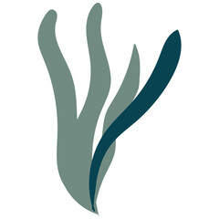 seaweed hand drawn decorative element