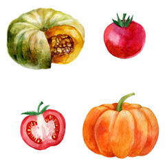 Watercolor illustration, set. Image of pumpkin.