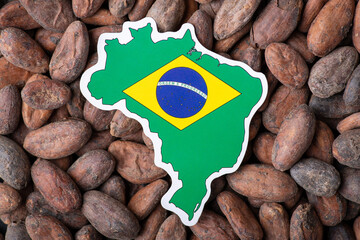 Flag and map of Brazil on cacao grain. Origin of cocoa beans, growing cacao in Brazil concept