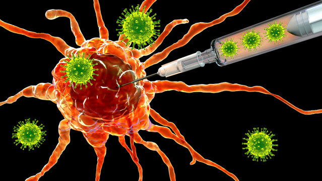 Oncolytic viral therapy, conceptual illustration