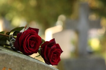 Red roses on grey tombstone outdoors on sunny day, space for text. Funeral ceremony