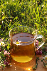 Cup of aromatic herbal tea and different wildflowers on green grass outdoors