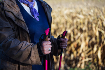 Lady hands hold nordic walking sticks