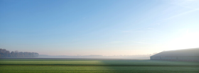 farm barn and empty autumn field near zeewolde in dutch province of flevoland on early moring in...