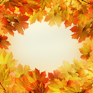 Frame of autumn maple leaves with copy space