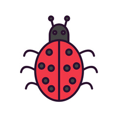 Ladybug Icon