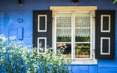 Fototapeta na wymiar blue, old, wooden house in the village with window and curtains and wild flowers in the front, copy space