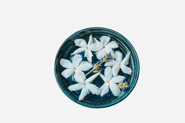 White Yasmin flowers in a bowl of water with white background.