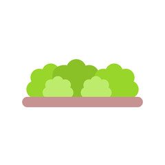 Bush Icon