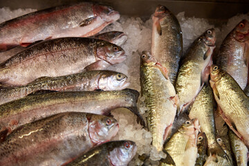 Fish arrange in ice on the market, selective focus