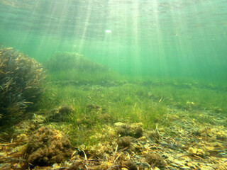 Fondale marino Marzamemi