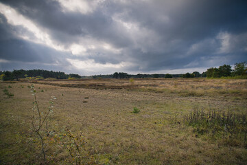 In front of landscape with grass and heather in Denmark, in front of the dunes