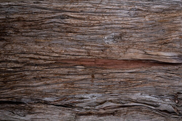 Fototapeta na wymiar Tree bark brown texture close up, natural background