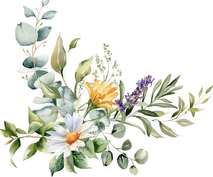 Watercolor flowers bouquet. Daisy flower, calendula, lavender,  eucalyptus branches and leaves. Summer floral arrangement isolated on transparent background for greeting card and invitation