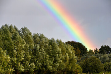 Regenbogen
