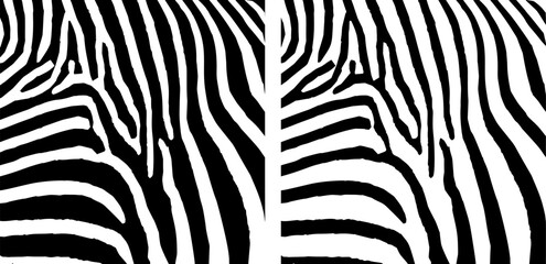 Fototapeta na wymiar Animal print. Zebra ornament. 