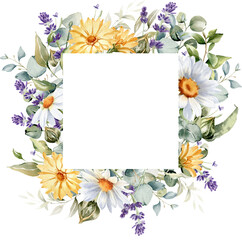 Watercolor floral frame, border, wreath. Daisy flower, calendula, lavender, eucalyptus branches and leaves. Summer wildflowers for greeting cards and invitations, logo and DIY.