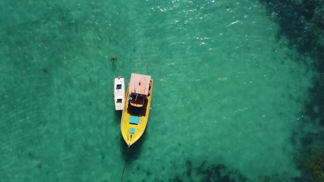 Maceio Coast, Beautiful Crystal Clear Waters on Reef. Boat in Paradise. Calm and Serene.
Maceio, Brazil By Drone 4k
Aerial Nature + Travel