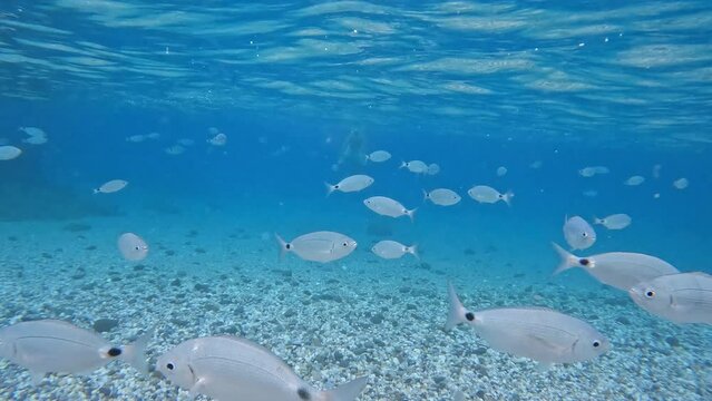 Tenager swims underwater - speed up