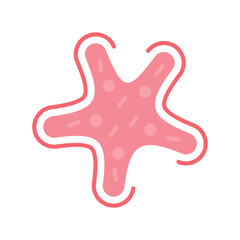 Starfish Icon