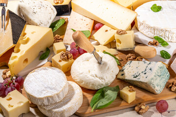 Different sorts of cheese set. Cheese platter with various cheese, with grapes, nuts, cheese knife and spices, light tiled background copy space