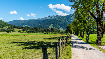 Fototapeta na wymiar Country road and tree alley in broad mountain valley. Zell am See on sunny summer day. Austrian Alps, Austria