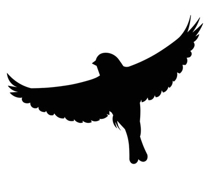 recommend clip art: Flying oriole bird silhouette flies spreading its wings