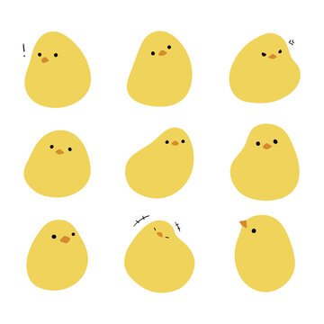 chick 3 cute on a white background, vector illustration