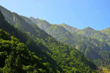 Fototapeta premium mountains of japan