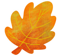 Color changing red orange yellow autumn leave doodle illustration. Fall season october vibe