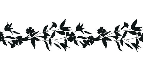 Obraz na płótnie Canvas Seamless vector horizontal ornament of field herbs and plants. Black silhouettes of flowers.