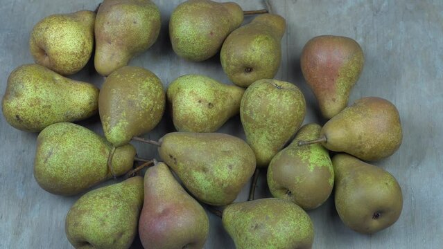 Pears on a wooden background. Fruit harvest. Autumn still life. Pear variety Bera Conference. Vitamin food