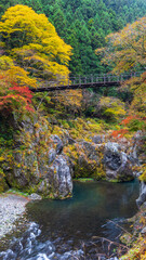 紅葉に染まる鳩ノ巣小橋